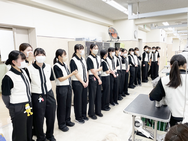 ☆先輩のトリミングを見学☆